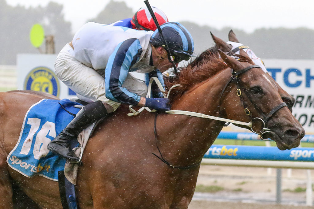 All About Eve_19-11-2022_WIN_Ballarat_4__526 | Just Horse Racing