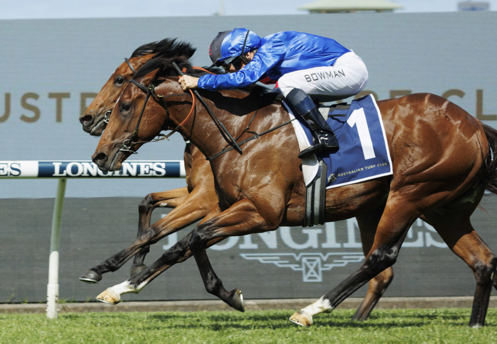 Barber-20221105-0720 | Just Horse Racing