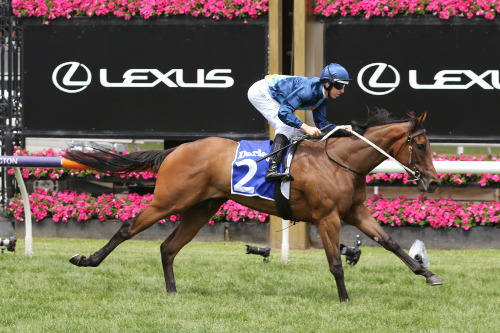 Charm Stone,Ottawa Stakes,Group 3_03-11-2022_WIN_Flemington_2__346 | Just Horse Racing