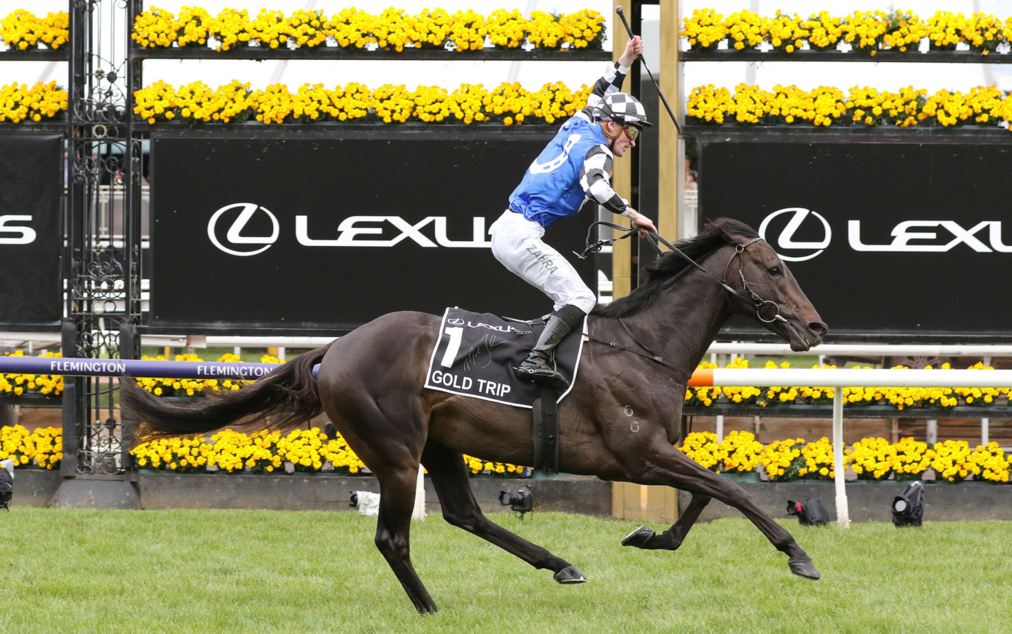 Melbourne Cup winner Gold Trip to return in the Feehan Stakes