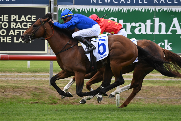 Vilana atones in The Hunter | Just Horse Racing