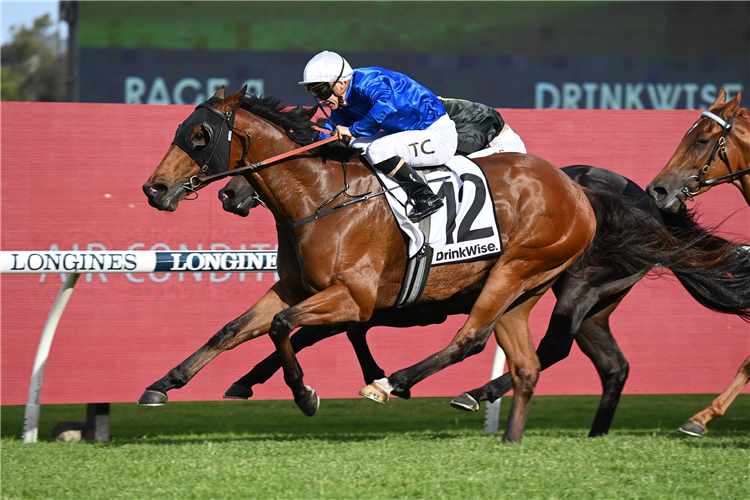 Zethus shines brightest in Starlight | Just Horse Racing