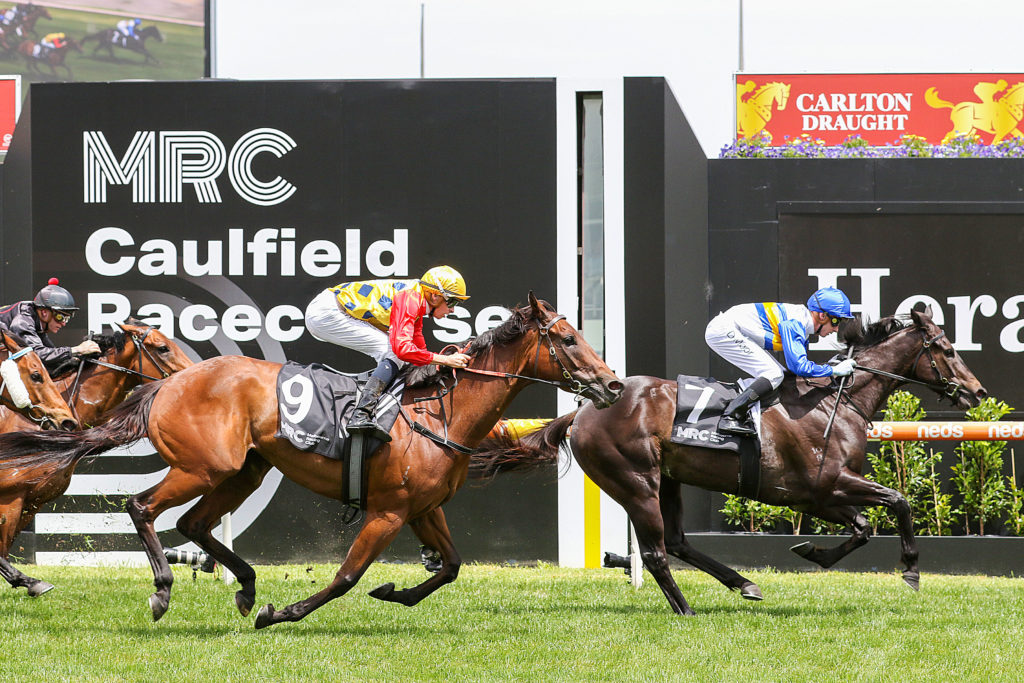 2/12/2023 Horse Racing Tips and Best Bets – Caulfield, Zipping Classic day