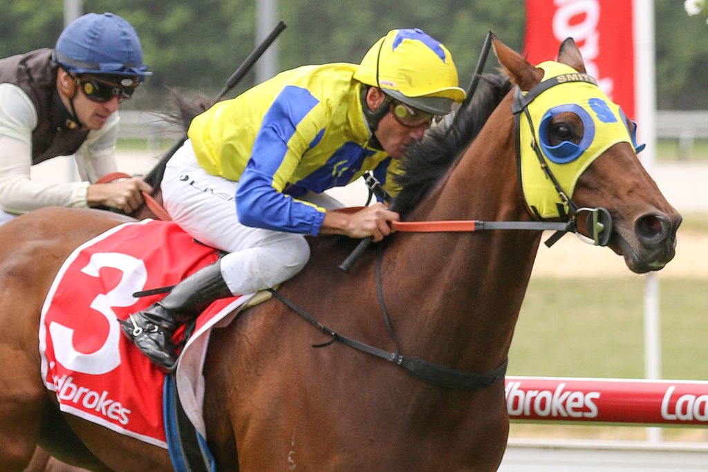 Kissinger0V9A0489 | Just Horse Racing