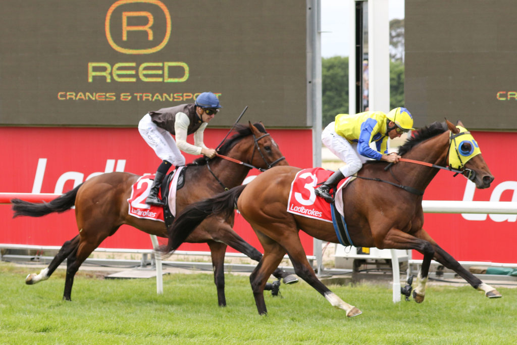 Kissinger0V9A0495 | Just Horse Racing