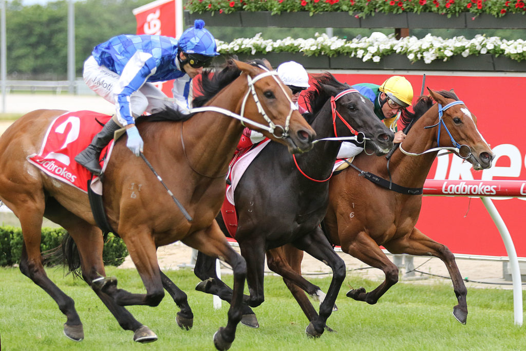 Megamea0V9A0695 | Just Horse Racing