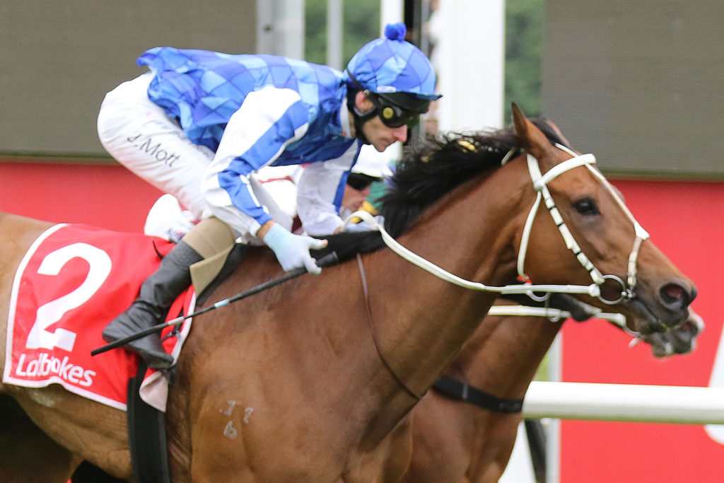 Megamea0V9A0699 | Just Horse Racing