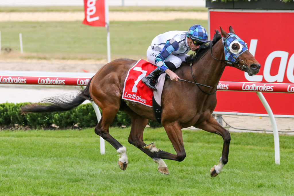 Pal D'oro_12-11-2022_WIN_Cranbourne_9__1498 | Just Horse Racing