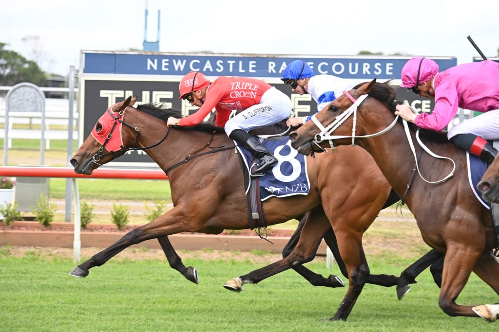 Pierossa 12112022 7474 | Just Horse Racing