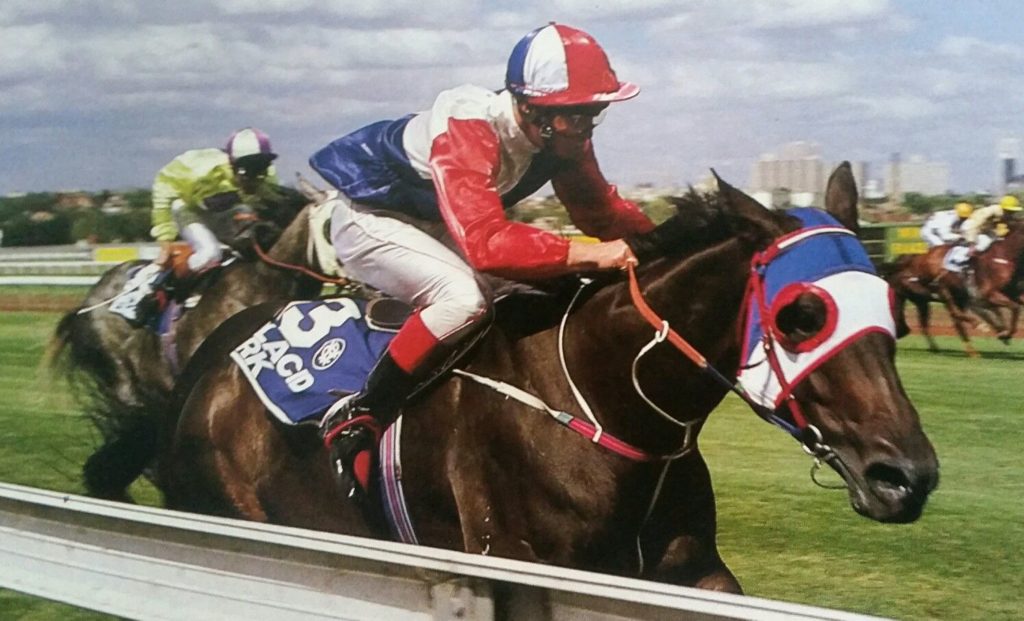 Placid Ark | Just Horse Racing