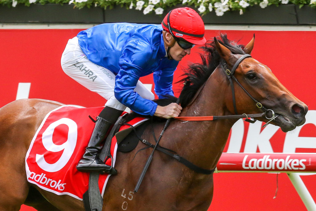 Remedies 0V9A0242 | Just Horse Racing