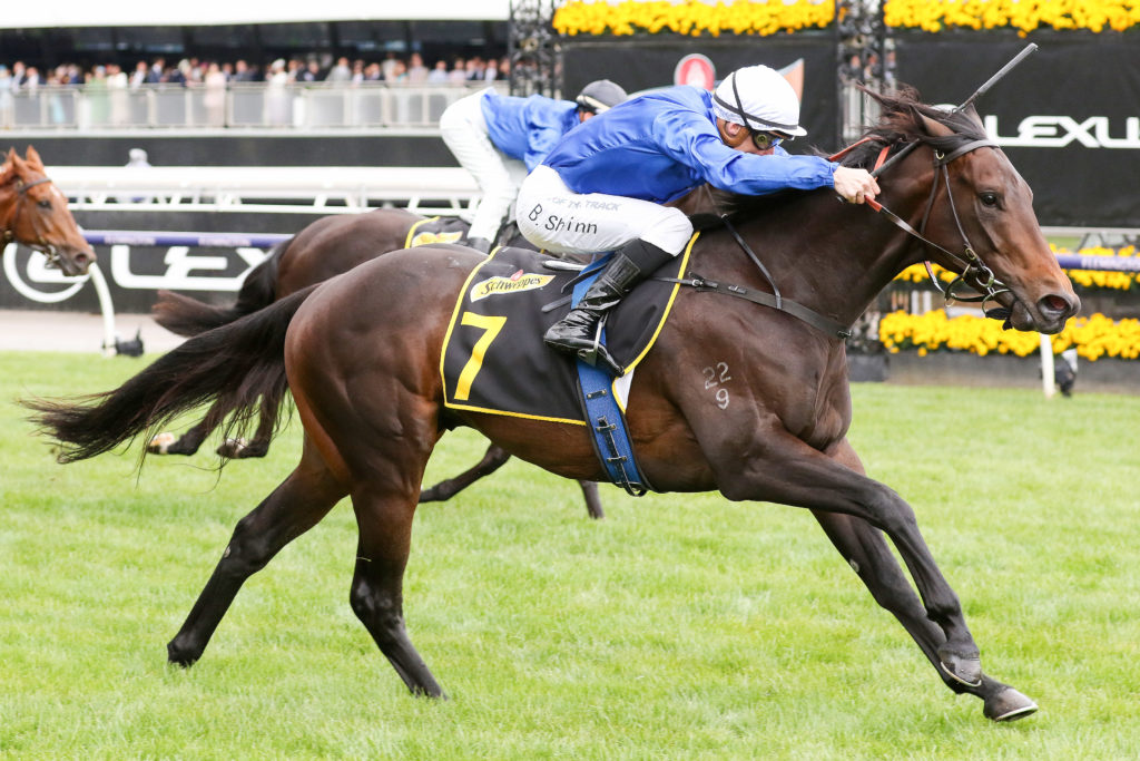 Renosu_01-11-2022_WIN_Flemington_5__857 | Just Horse Racing