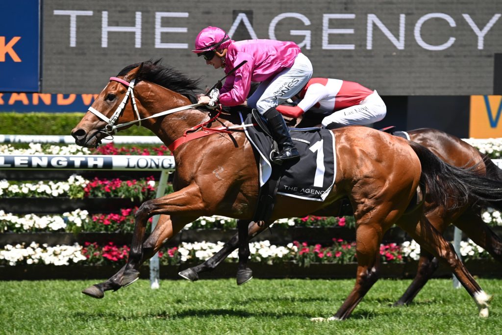 Robusto 01112022 3768 | Just Horse Racing