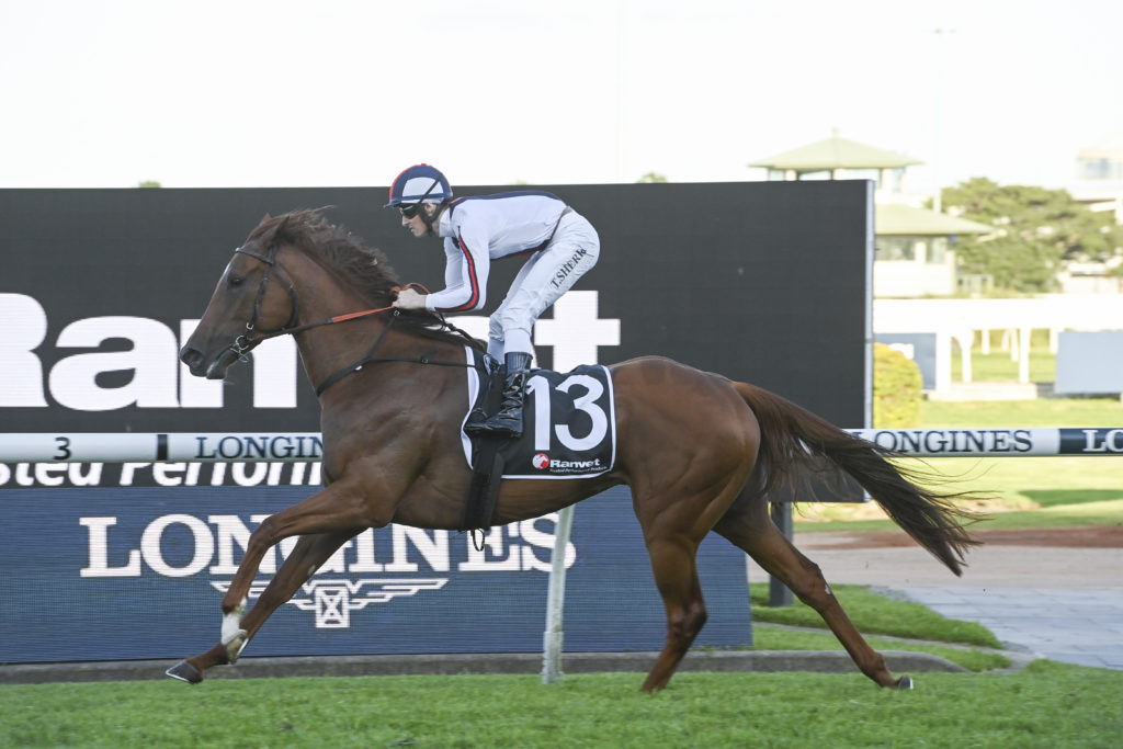 DSC_8201SHORT SHORTS,Z_10_RH_05112022__B028 | Just Horse Racing