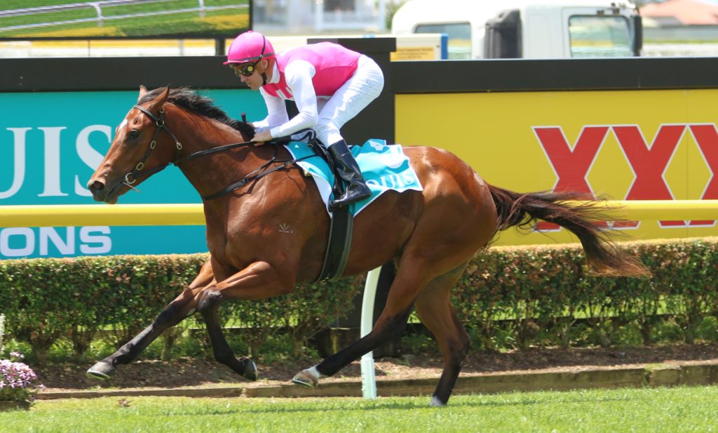 Skirt The Law 3 | Just Horse Racing