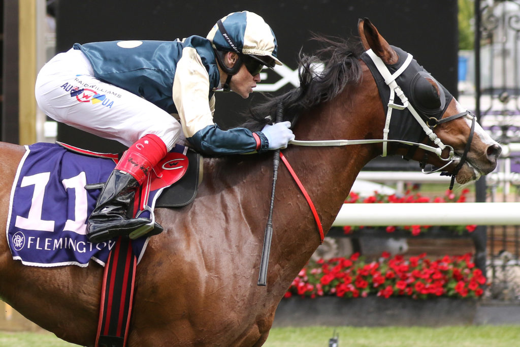 Soulcombe,Queen's Cup,Group 3_05-11-2022_WIN_Flemington_4__642 | Just Horse Racing