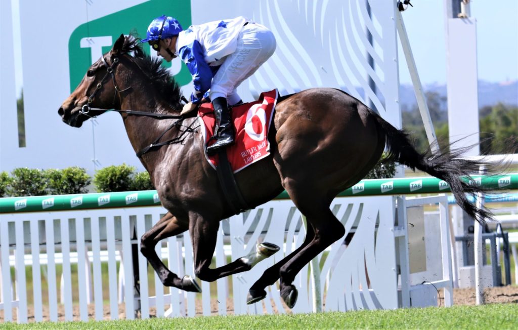Sunny Coast Nov 19 race 5 - Golden Boom a | Just Horse Racing