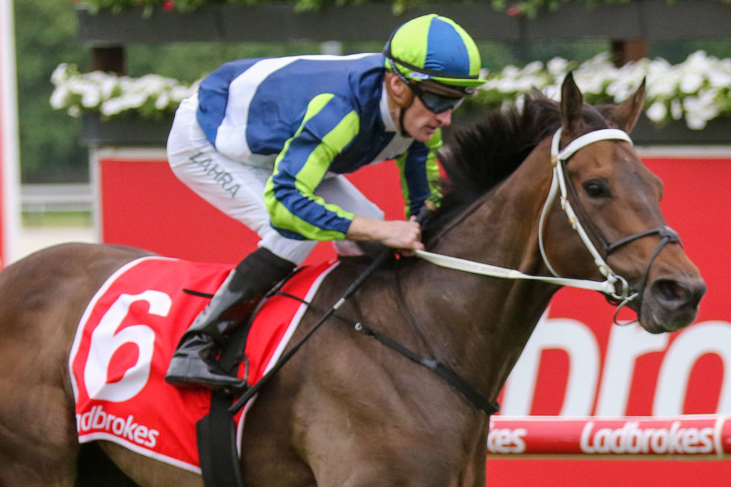 UNCLE BRYN0V9A0966 | Just Horse Racing