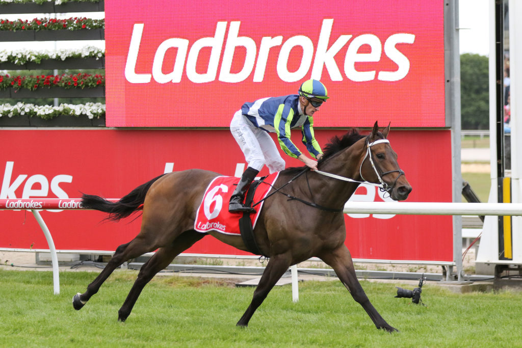 UNCLE BRYN0V9A0969 | Just Horse Racing