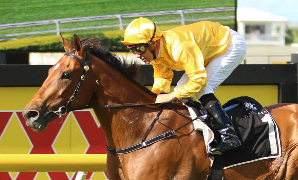 Without Revenge 3 | Just Horse Racing
