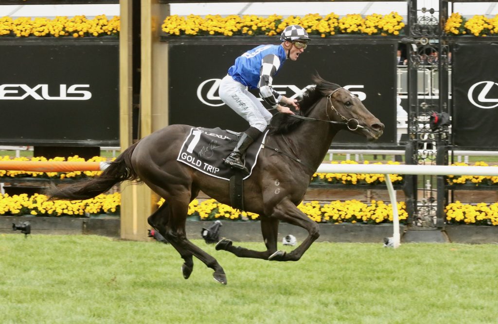 gold trip fin_2481 | Just Horse Racing