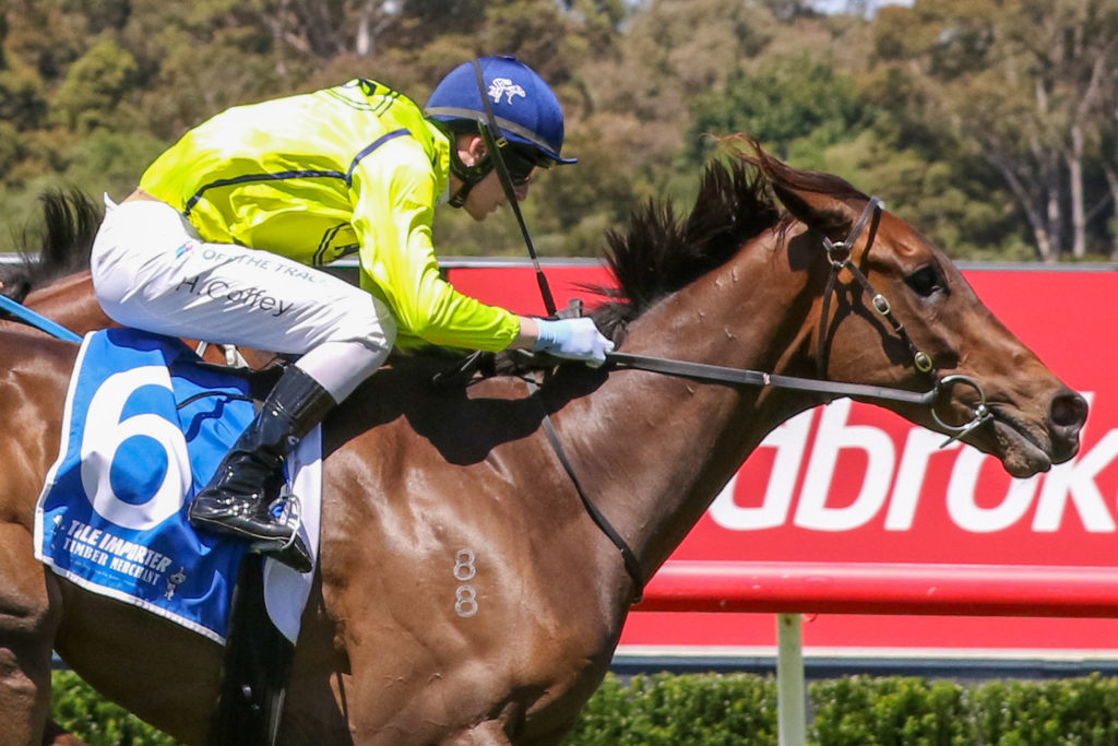 Detonator Jack_10-12-2022_WIN_Sandown_5__588 | Just Horse Racing