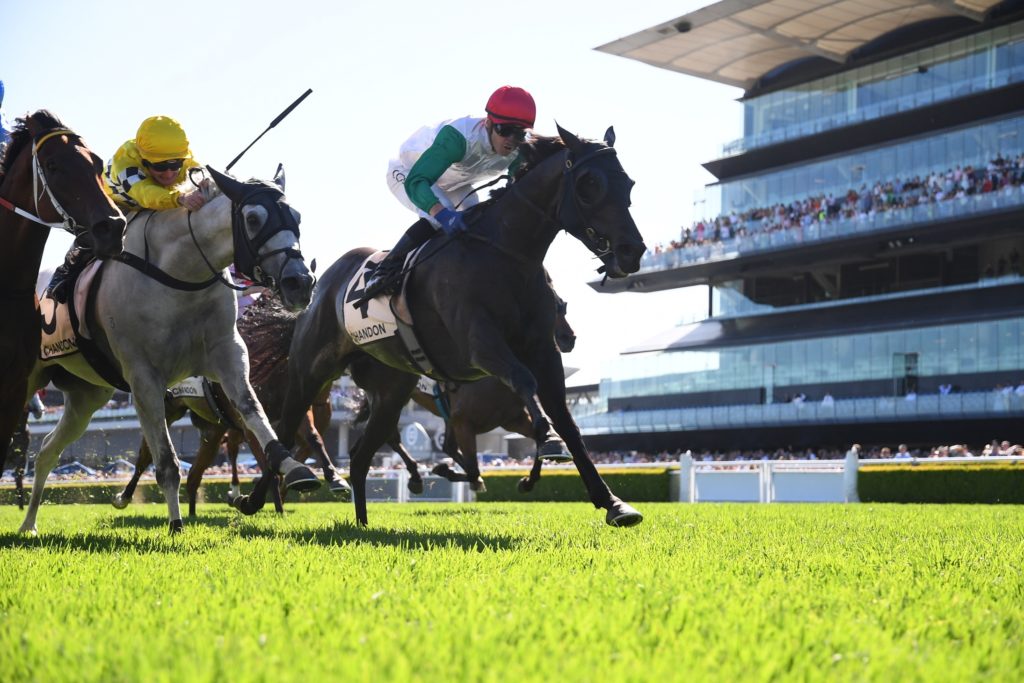 Diamil 261222 2516 | Just Horse Racing