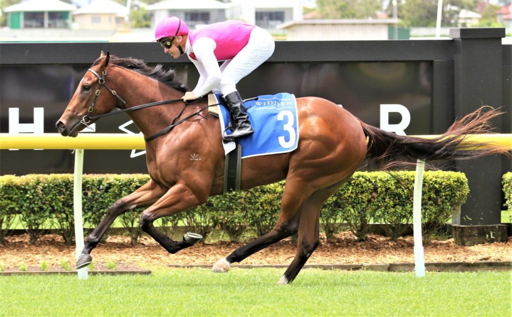 Doom Dec 3 Race 1 Skirt The Law 1 | Just Horse Racing
