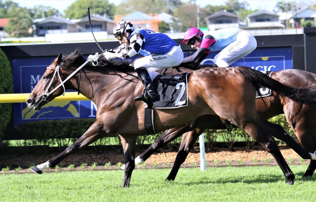 Doom Dec 3 Race 7 Ucalledit | Just Horse Racing