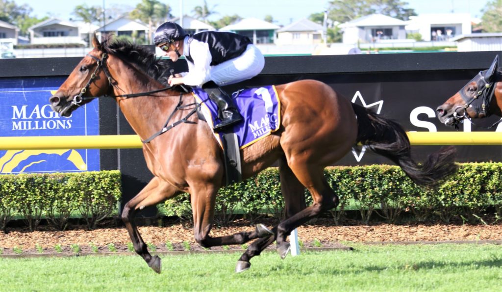 Doom Dec 3 Race 8 Garibaldi 1 | Just Horse Racing