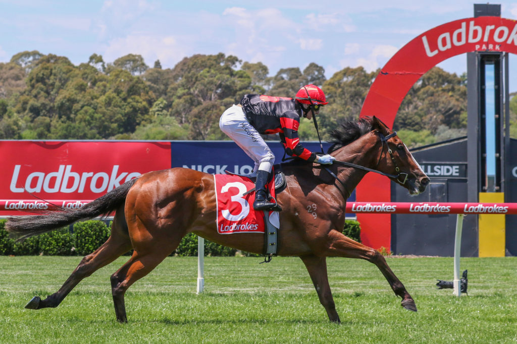 Dunkel_26-12-2022_WIN_Sandown_2__157 | Just Horse Racing