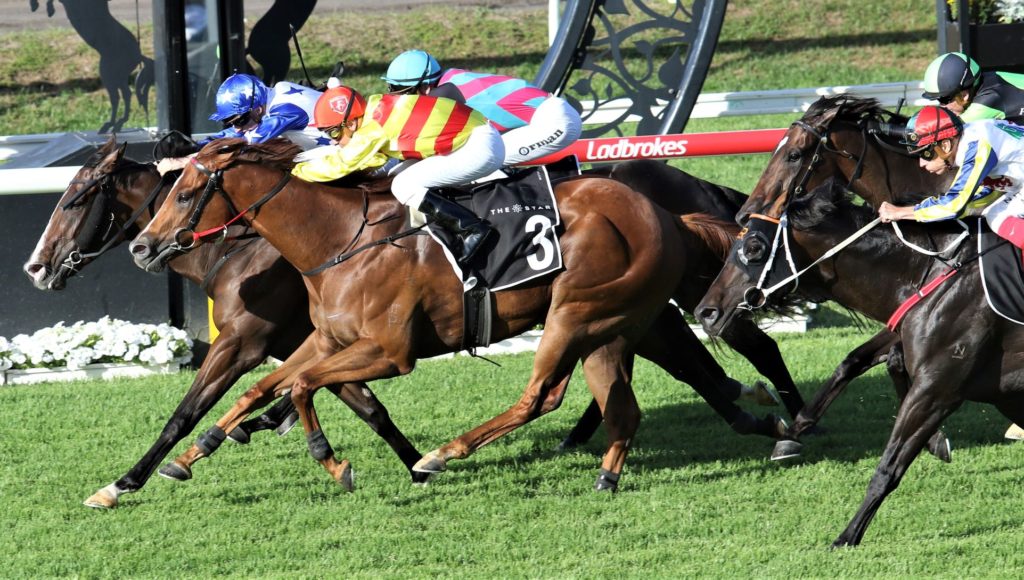 Ef race 8 Tick Tock Queen | Just Horse Racing