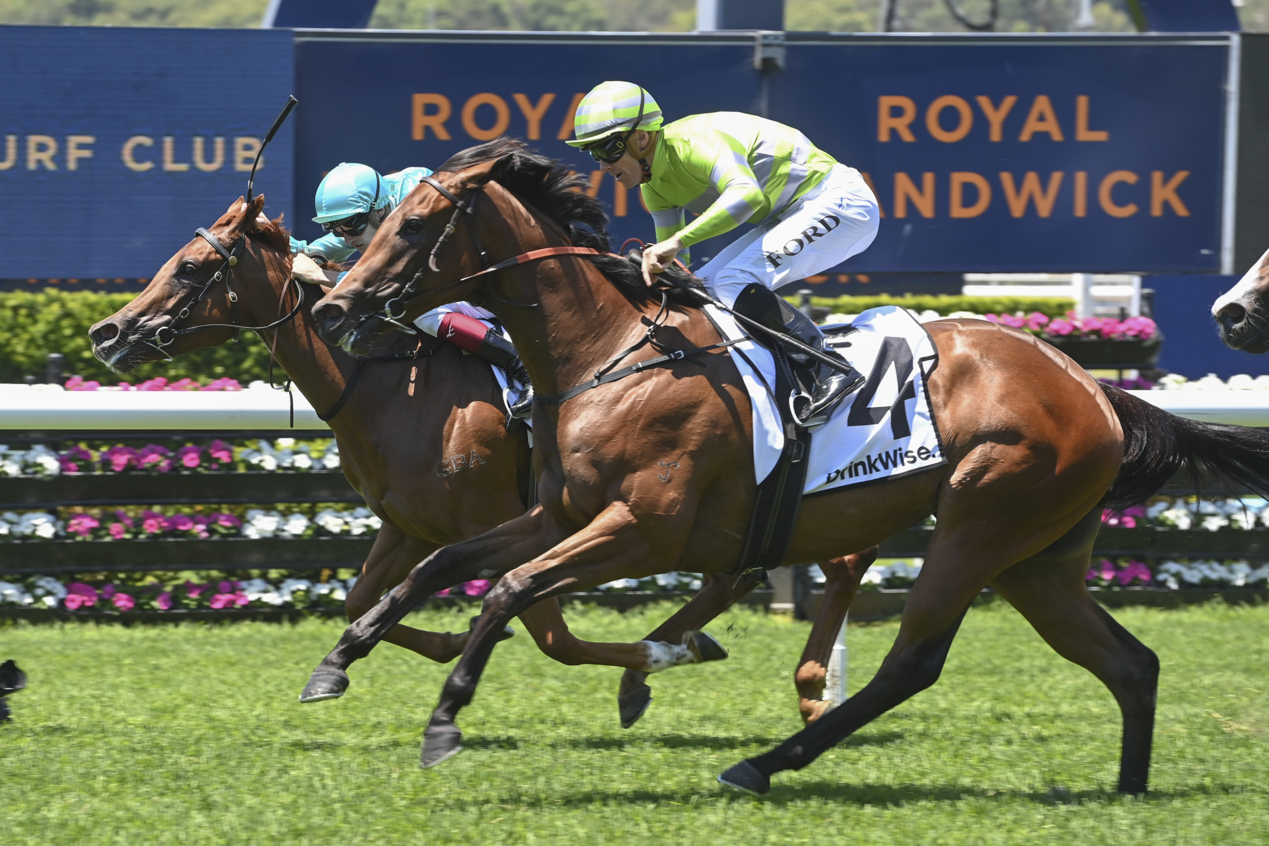 Widdup ready to Fire in Magic Millions Classic - Vimarsana News