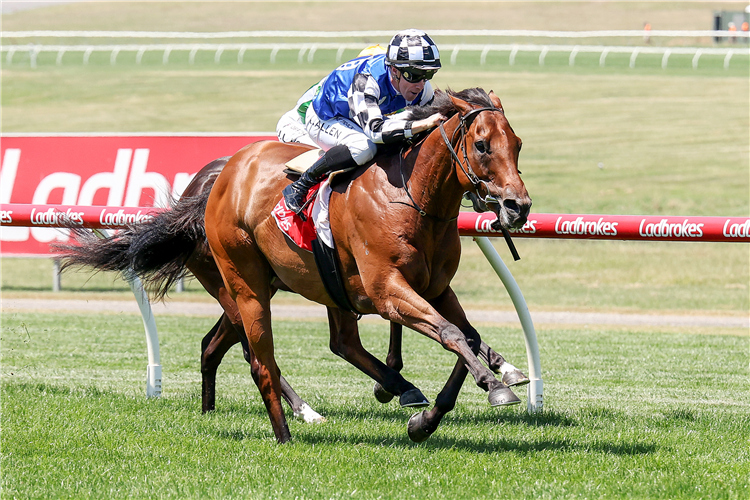 Nugget stakes All-Star Mile claims with Lord Stakes win | Just Horse Racing