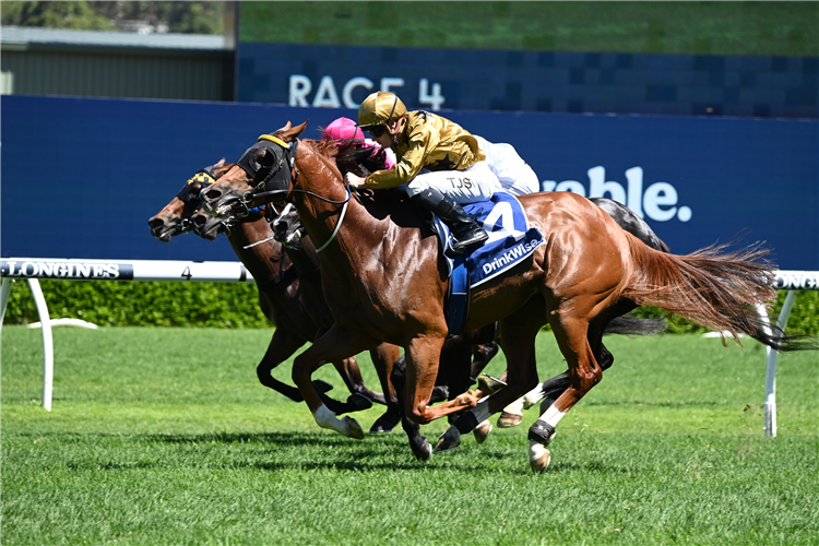 Zain’s Girl returns in winning order | Just Horse Racing