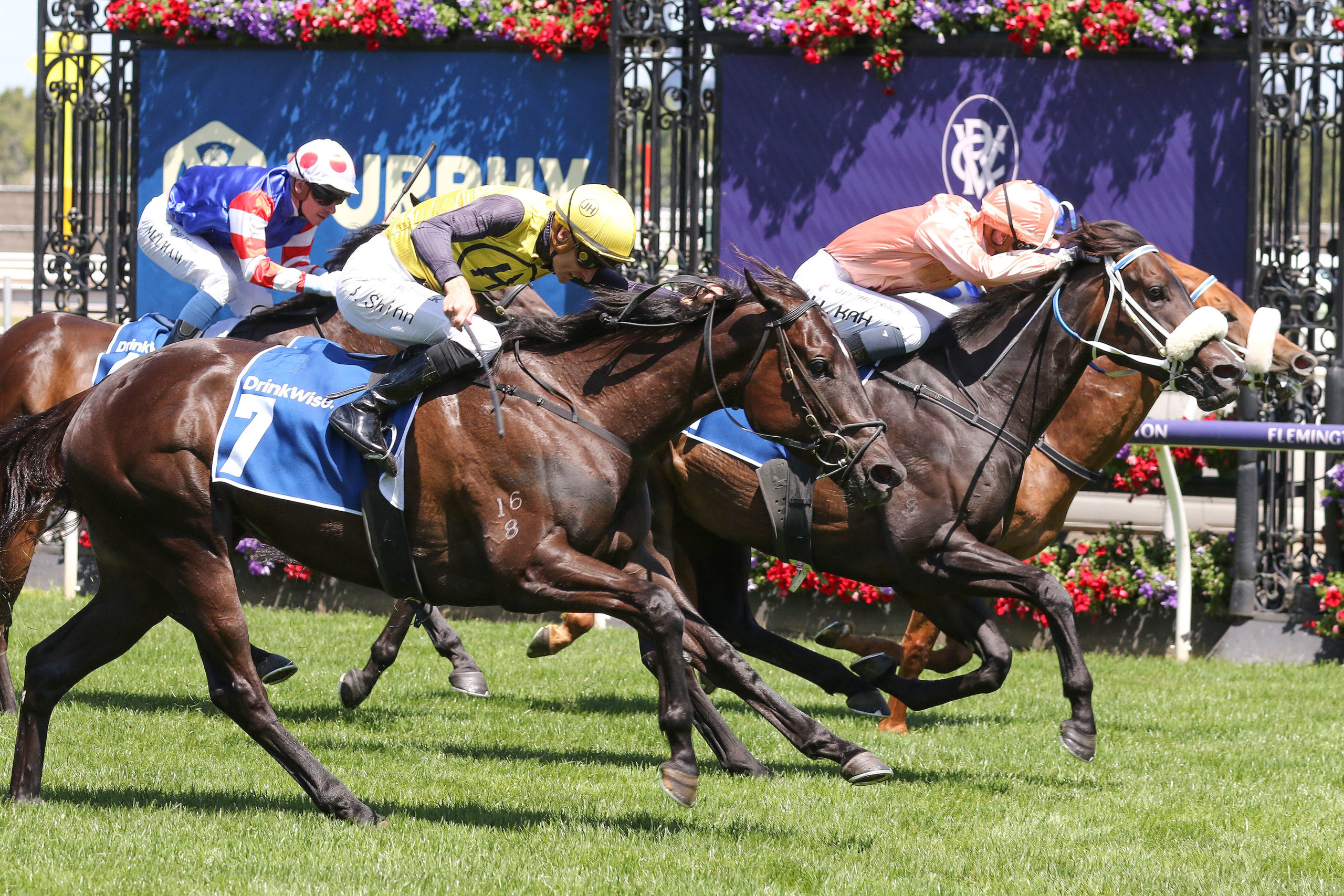 Kah to ride My Yankee Girl at Sandown - Vimarsana News