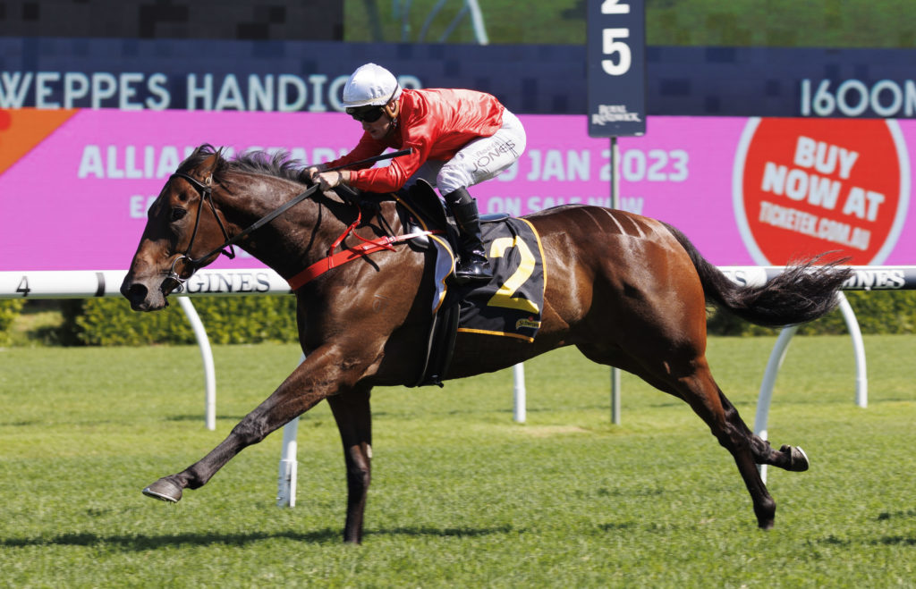 JoJoWasAMan-20221224-6038 | Just Horse Racing