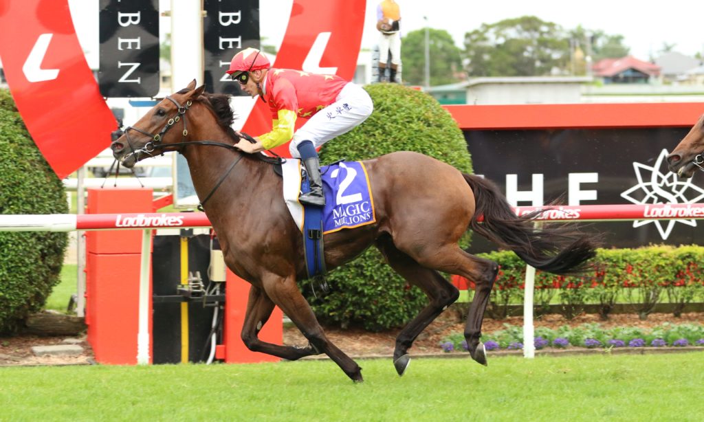 King Of Sparta | Just Horse Racing