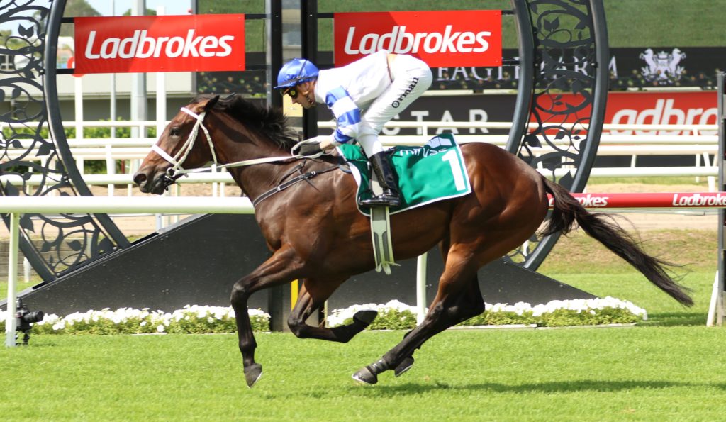 Kovalica | Just Horse Racing