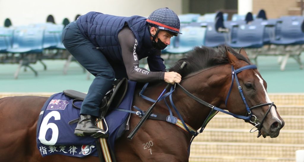 Laws Of Indices 3 | Just Horse Racing