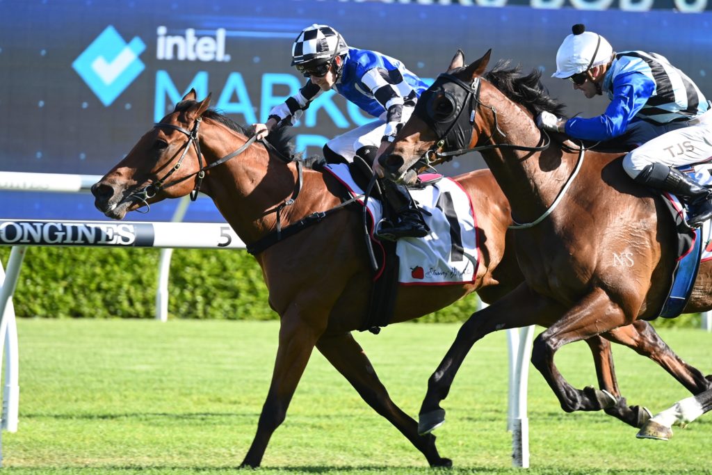 Nugget 101222 7738 | Just Horse Racing