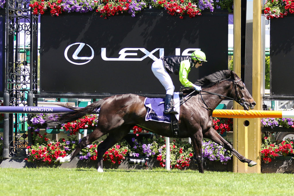 Persan_17-12-2022_WIN_Flemington_6__959 | Just Horse Racing
