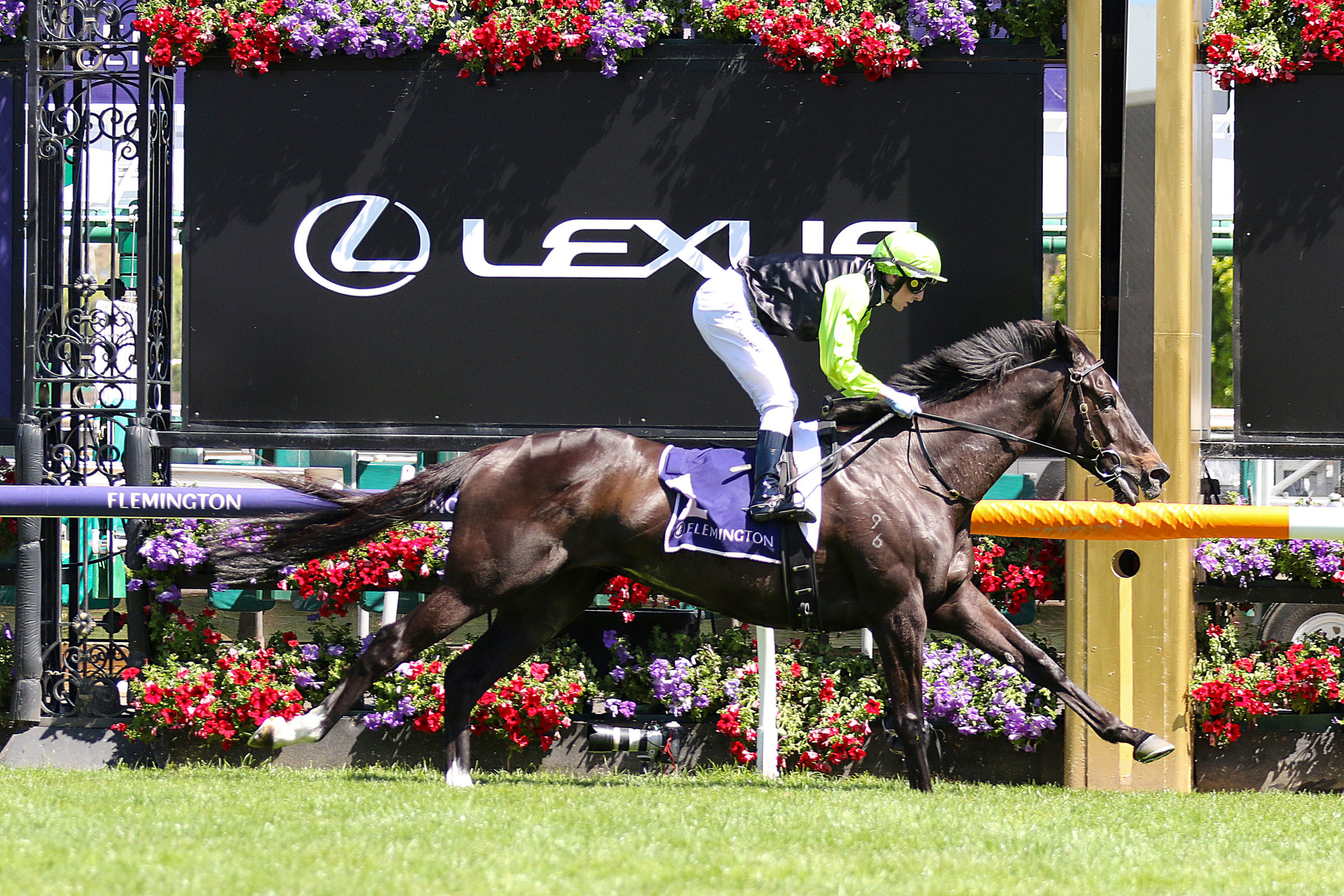 Maher and Eustace with two-pronged attack on the Adelaide Cup - Vimarsana News