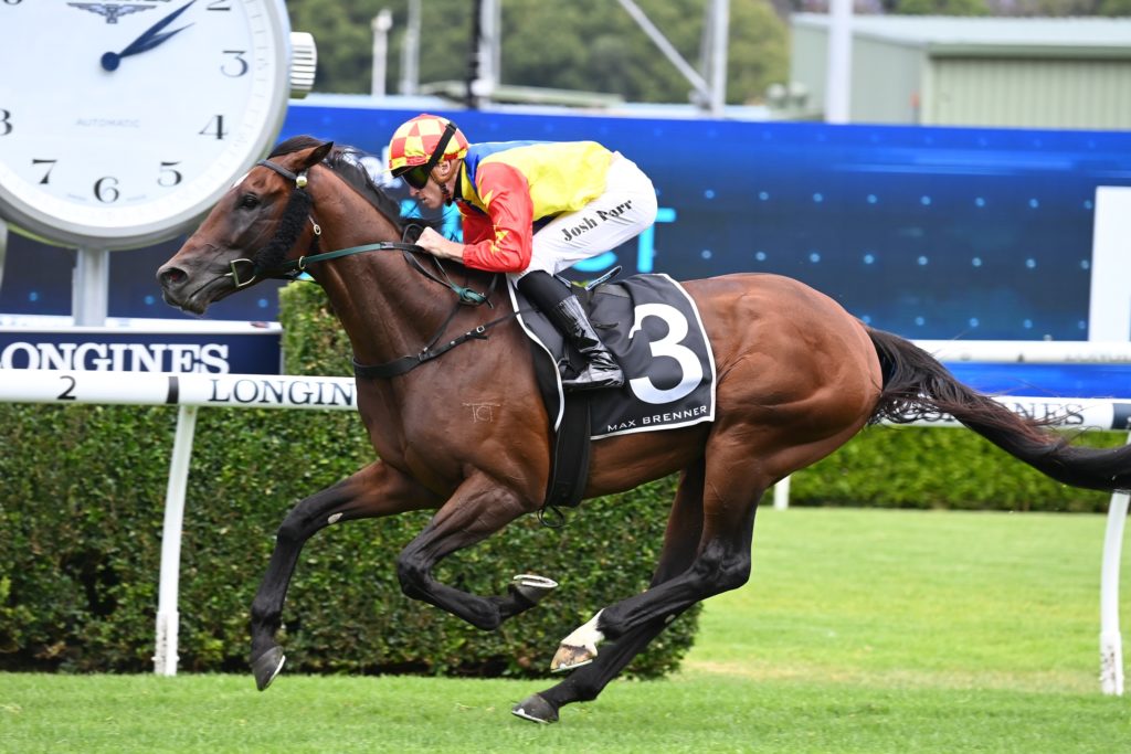 Chevalier looking to make his Marc | Just Horse Racing