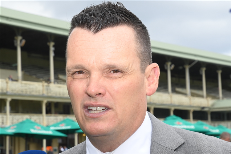 Pride to keep ball rolling on New Year’s | Just Horse Racing