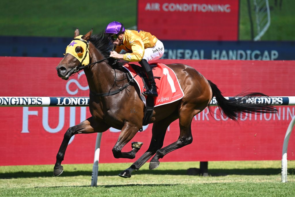Zoumon 031222 3795 | Just Horse Racing