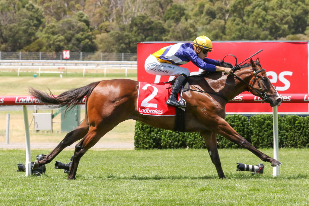 0V9A0311 | Just Horse Racing