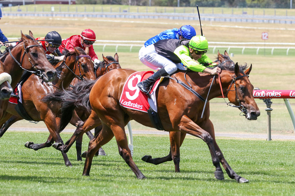 0V9A0552 | Just Horse Racing