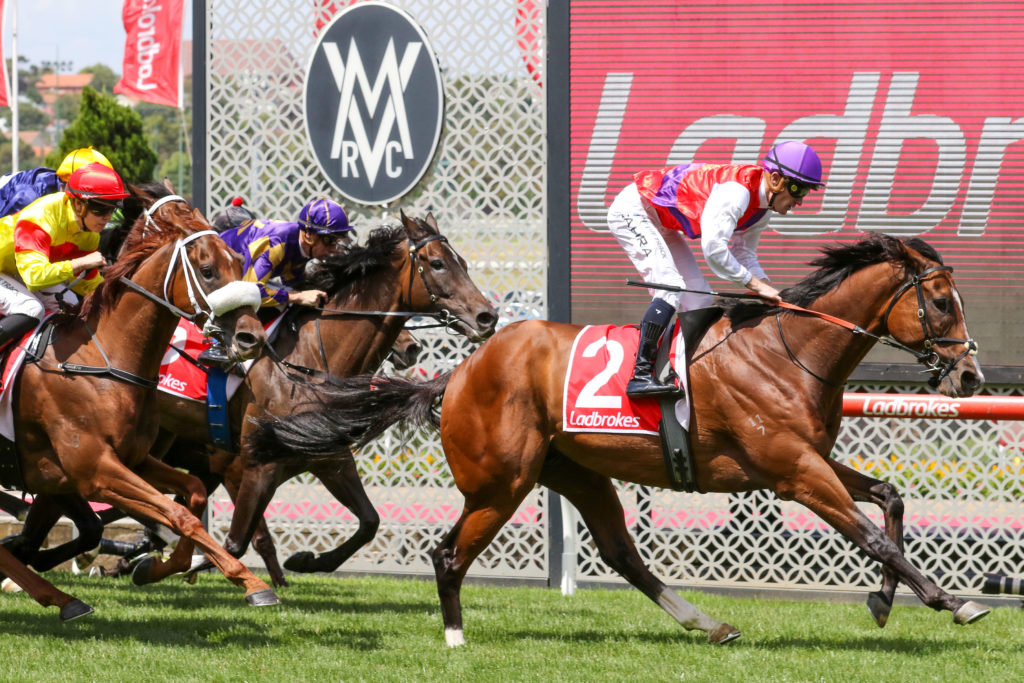 Ain'tnodeeldun_21-01-2023_WIN_Moonee Valley_5__696 | Just Horse Racing