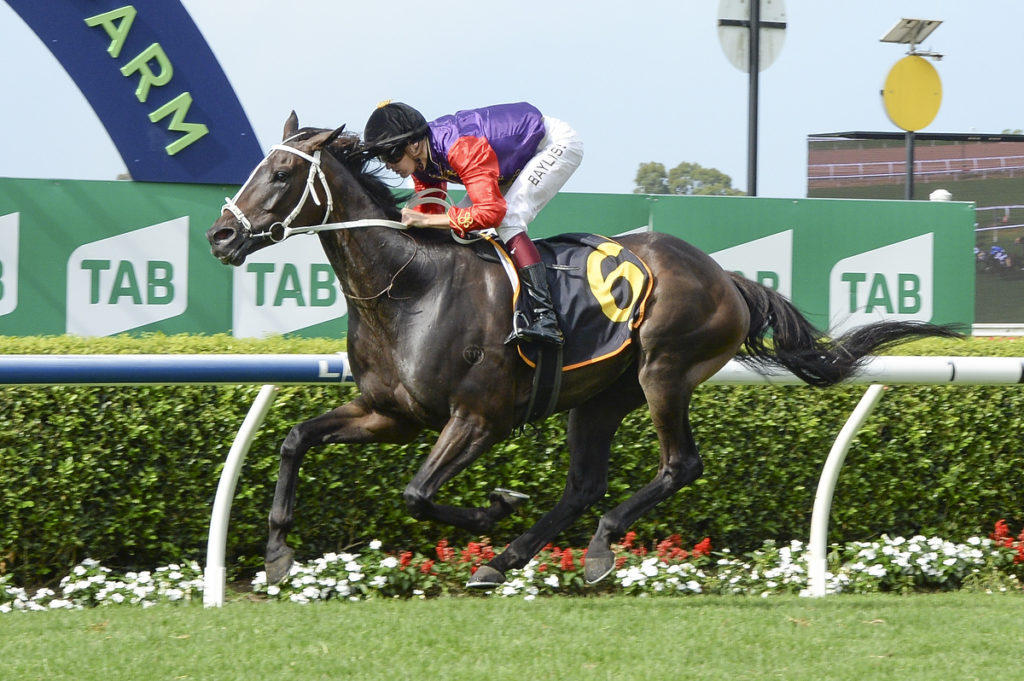 DSC_0883,Z_7_WF_26012023__B876 | Just Horse Racing